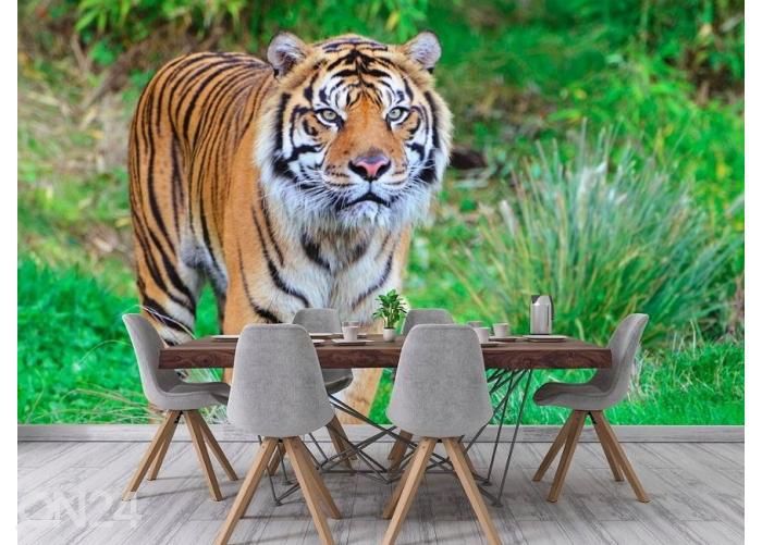 Fleece kuvatapetti Sumatran Tiger 400x260 cm kuvasuurennos