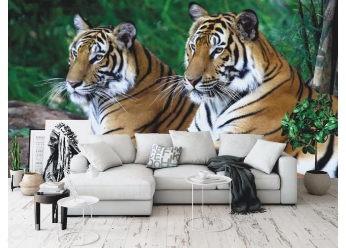 Fleece kuvatapetti Two Tigers On The Rock 400x260 cm kuvasuurennos
