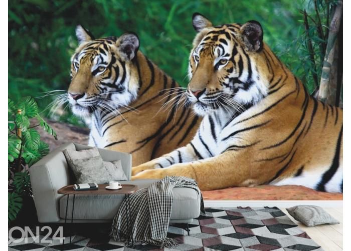 Fleece kuvatapetti Two Tigers On The Rock 400x260 cm kuvasuurennos