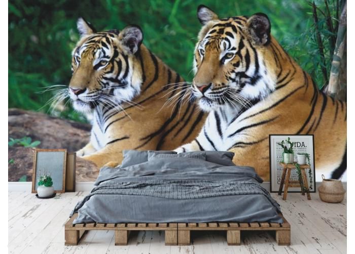 Fleece kuvatapetti Two Tigers On The Rock 400x260 cm kuvasuurennos
