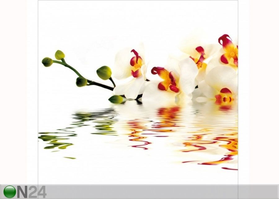 Fleece-kuvatapetti VIVID ORCHID WATERS kuvasuurennos