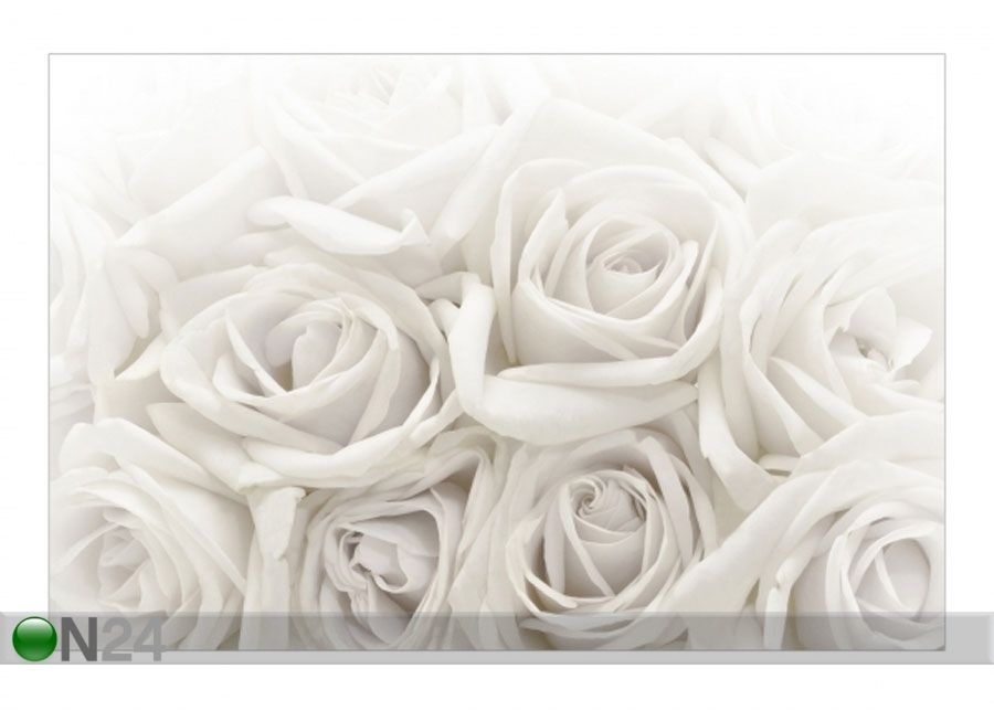 Fleece-kuvatapetti WHITE ROSES kuvasuurennos