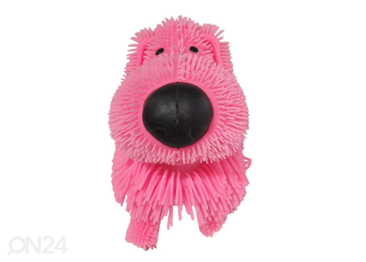 Gerardo's Toys hapsukoira musiikilla pinkki kuvasuurennos