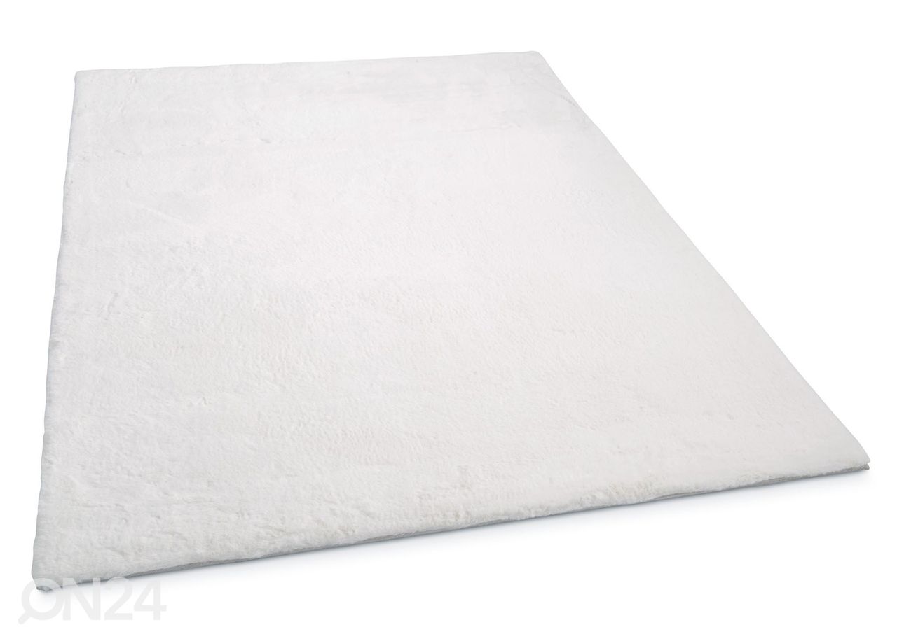 Gino Falcone matto Chiara 40x60 cm kuvasuurennos