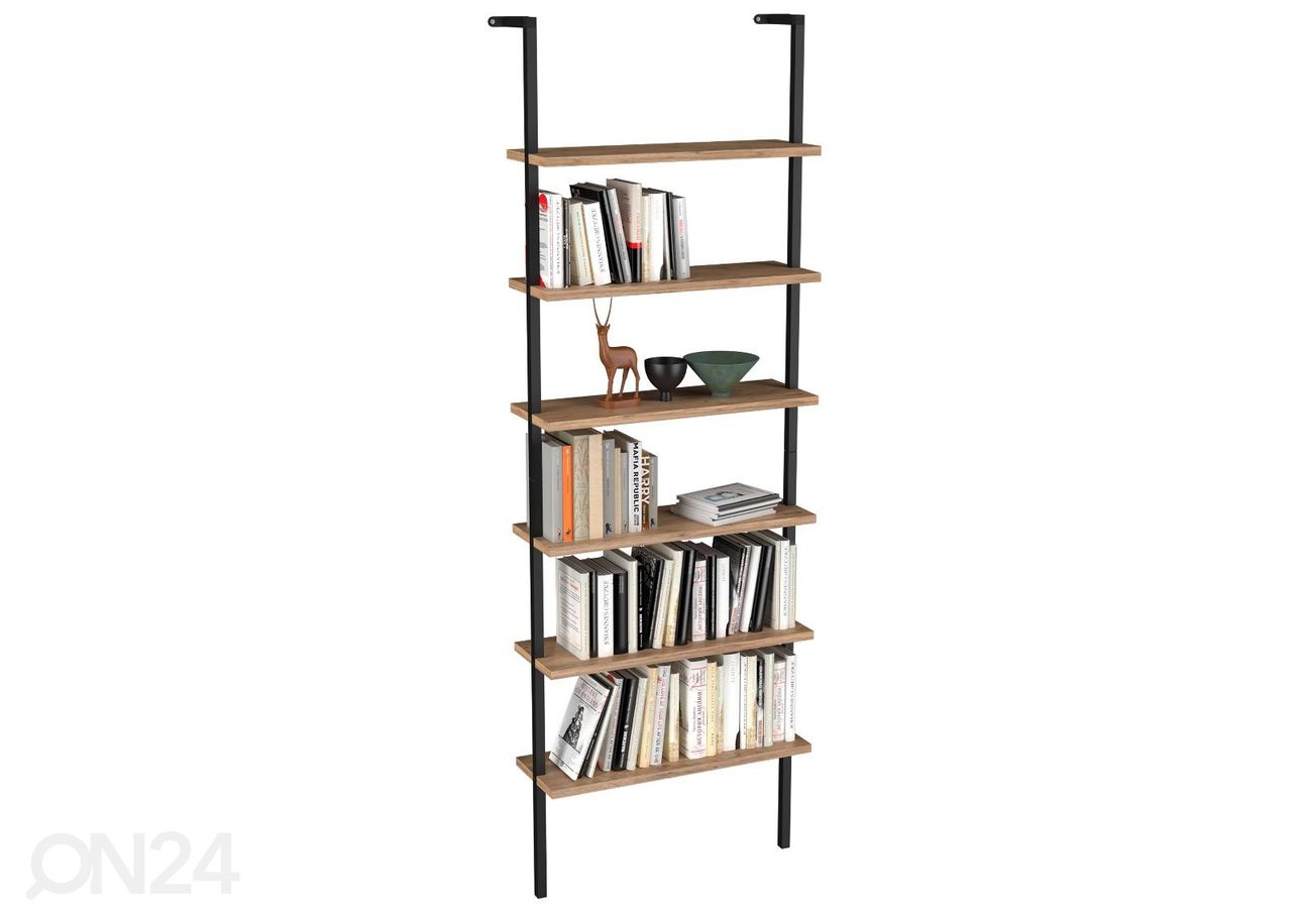 Hyllykkö Insasi 60 cm kuvasuurennos
