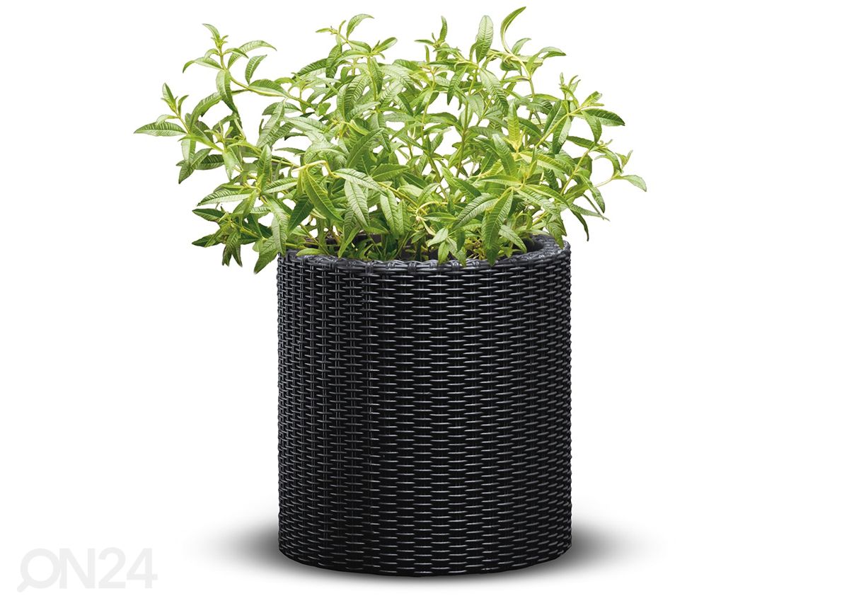 Istutusruukku KETER CYLINDER PLANTER SMALL, anthracite Ø28 x h28 cm kuvasuurennos
