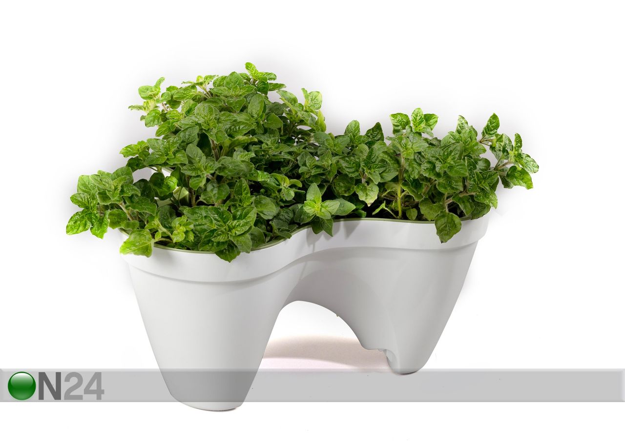Istutusruukku KETER IVY PLANTER kuvasuurennos