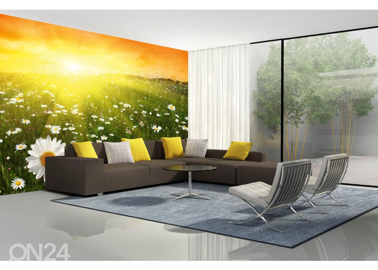 itsekiinnityv-kuvatapetti-flower-field-in-sunset-ed-460173-on24-fi