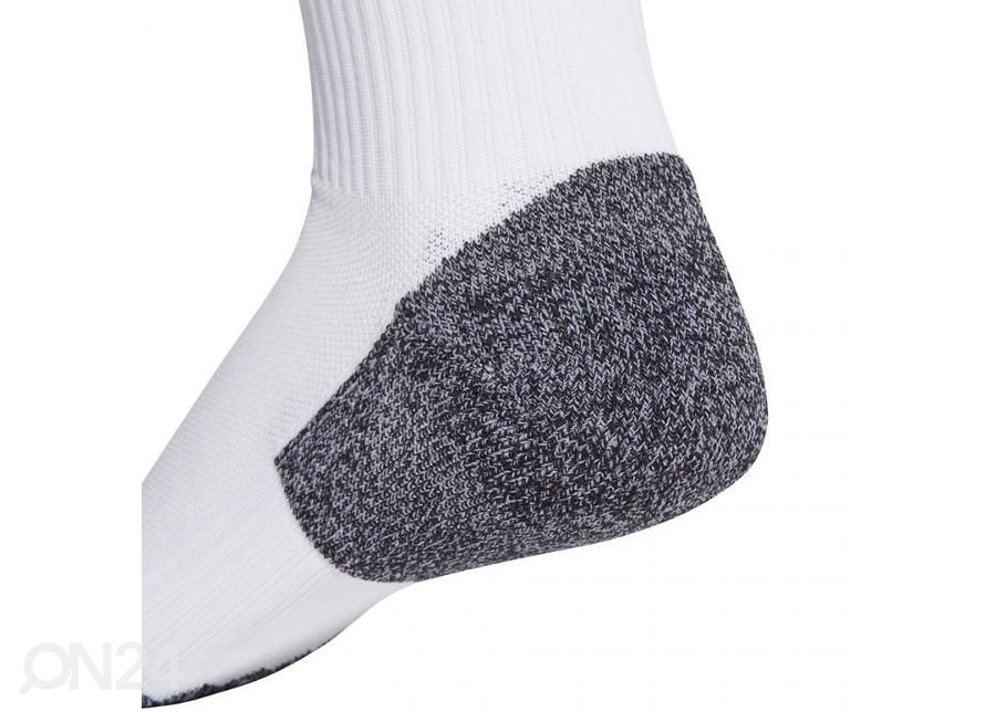 Jalkapallosukat Adidas Adi 21 kuvasuurennos