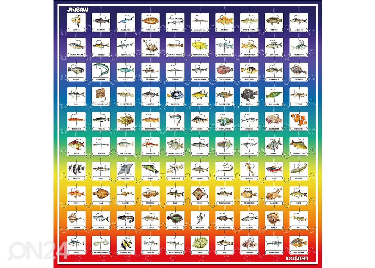 Jigsaw Quiz palapeli kalatietokilpailulla Fish kuvasuurennos
