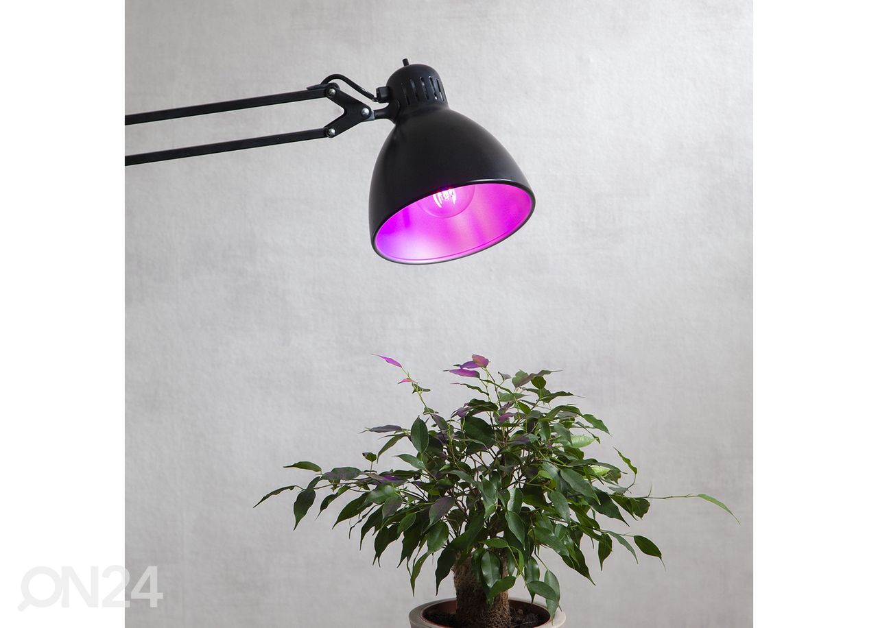 Kasvilamppu LED E27 6,5W kuvasuurennos