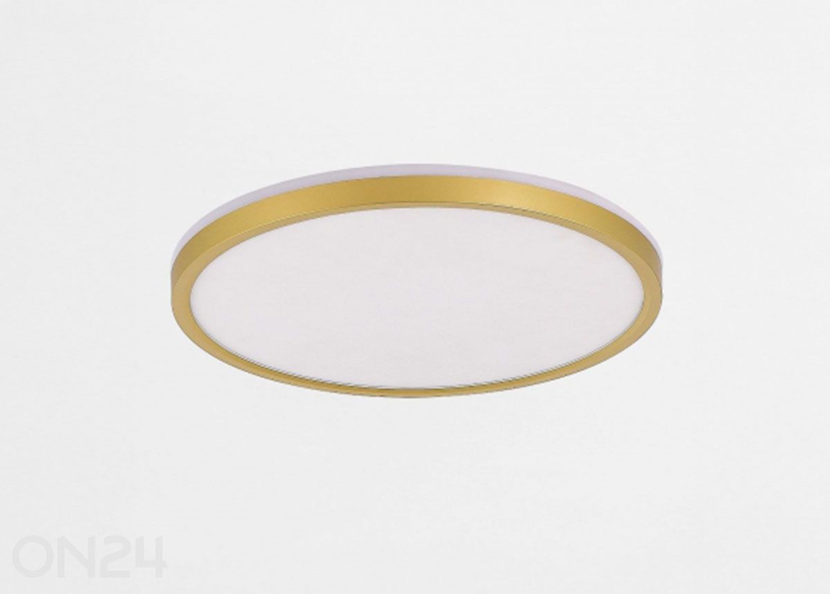 Kattoplafondi Bove Gold 50 kuvasuurennos