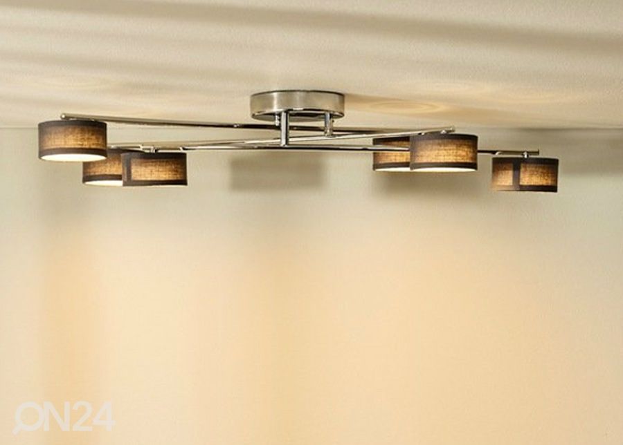 Kattovalaisin Alys kuvasuurennos