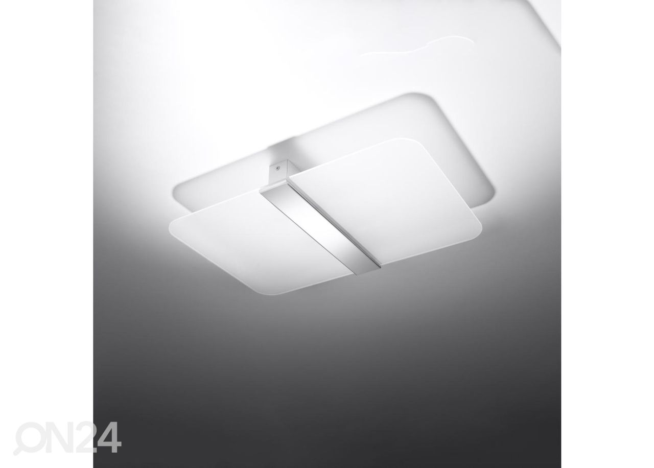 Kattovalaisin Azalia kuvasuurennos