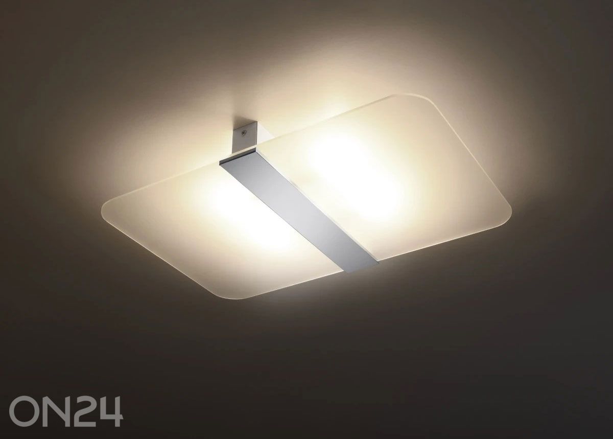 Kattovalaisin Azalia kuvasuurennos