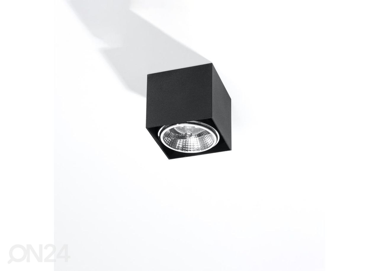 Kattovalaisin Blake kuvasuurennos