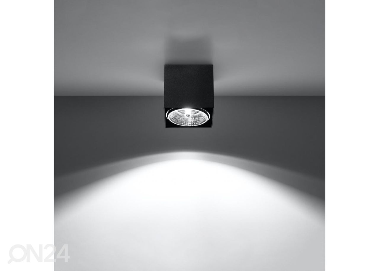 Kattovalaisin Blake kuvasuurennos