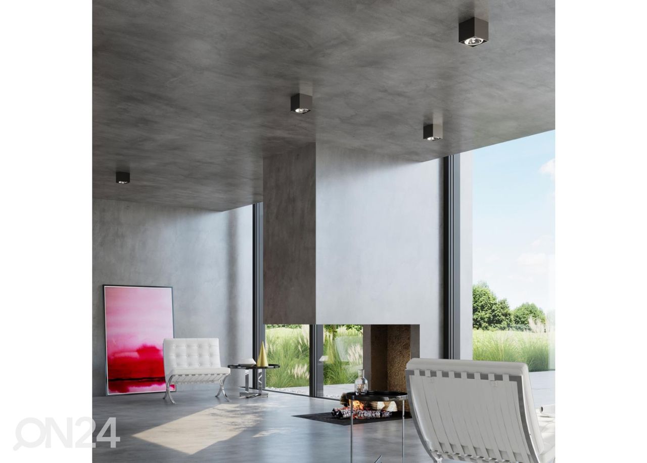 Kattovalaisin Blake kuvasuurennos