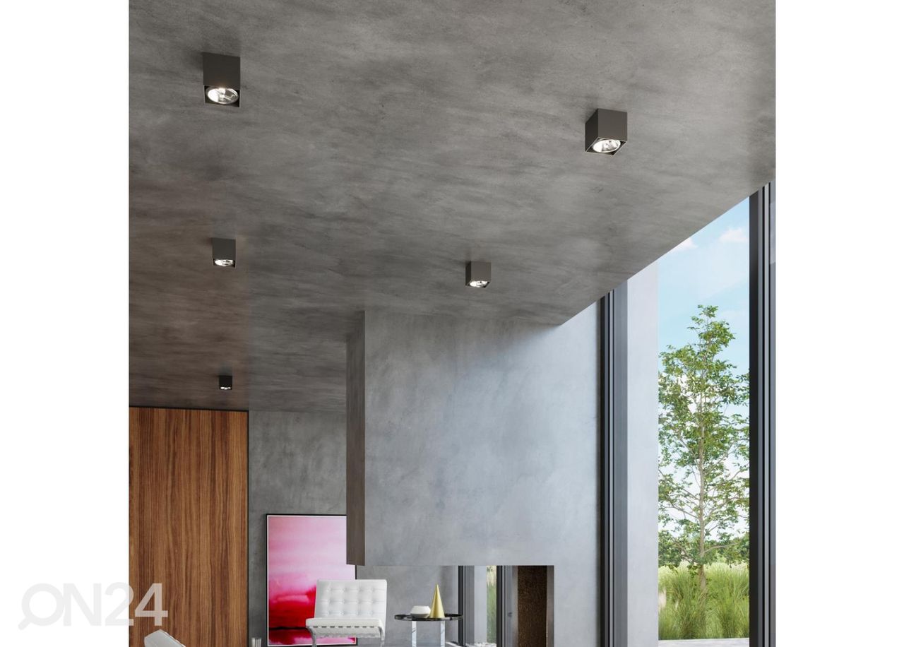 Kattovalaisin Blake kuvasuurennos