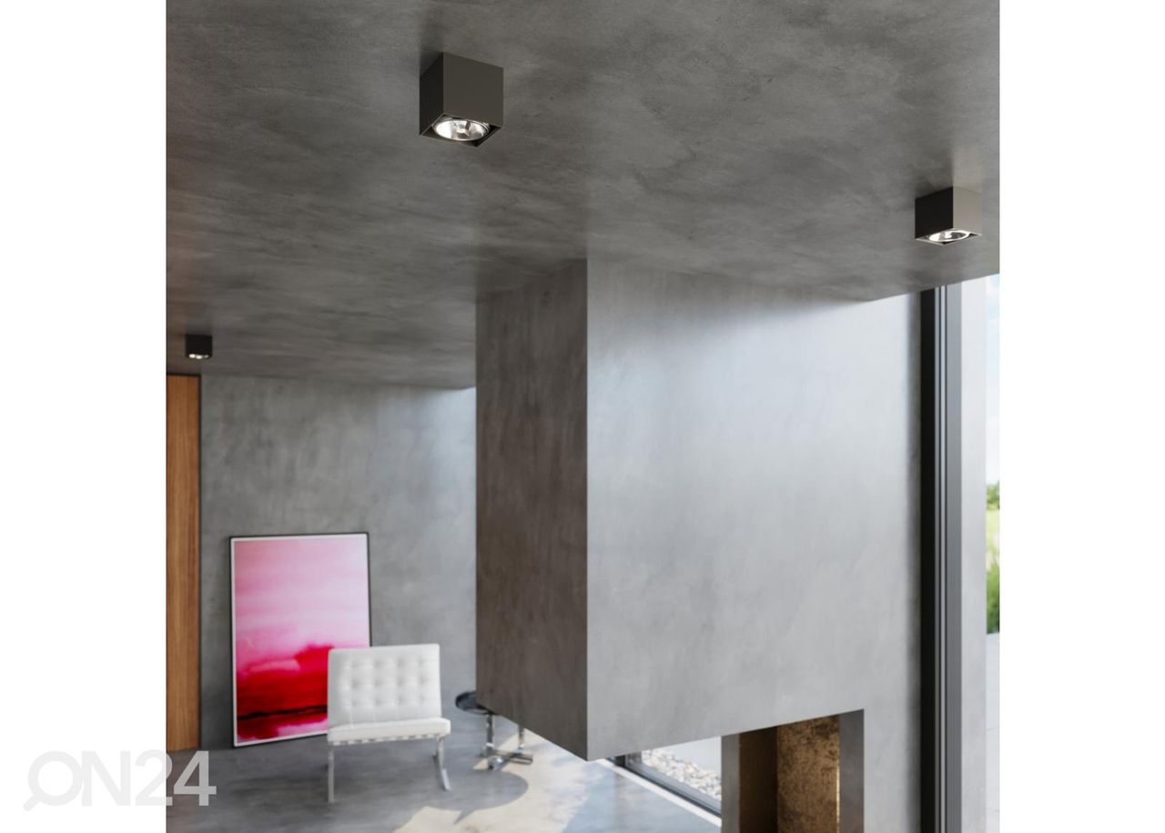 Kattovalaisin Blake kuvasuurennos