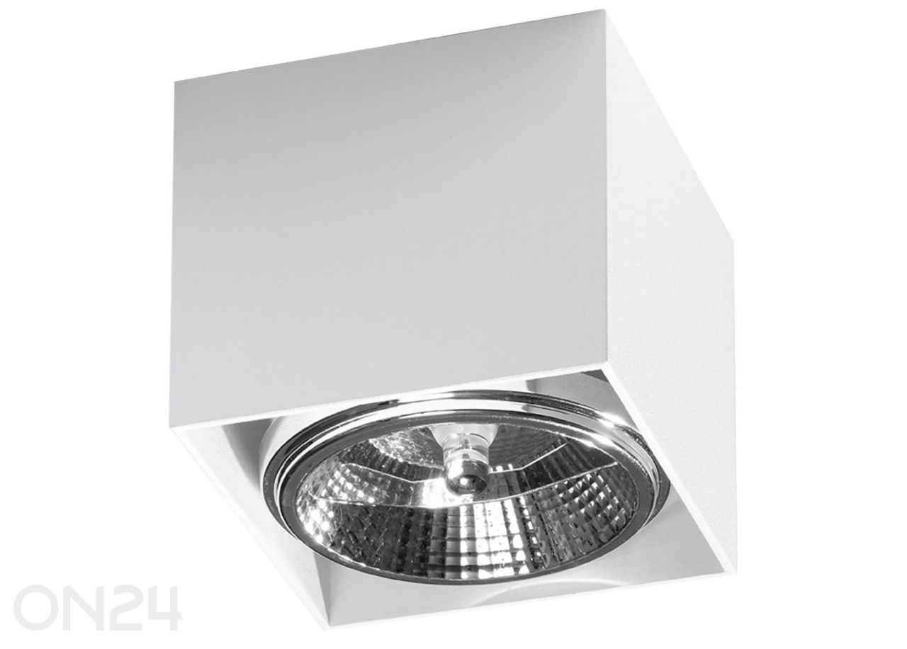 Kattovalaisin Blake kuvasuurennos