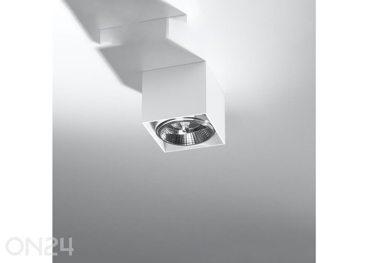 Kattovalaisin Blake kuvasuurennos