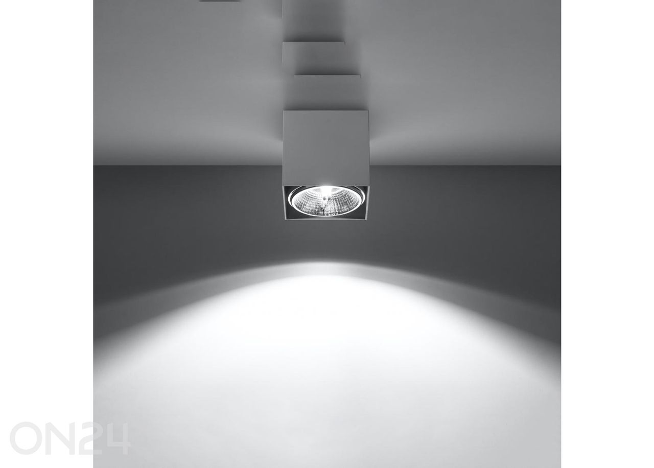 Kattovalaisin Blake kuvasuurennos