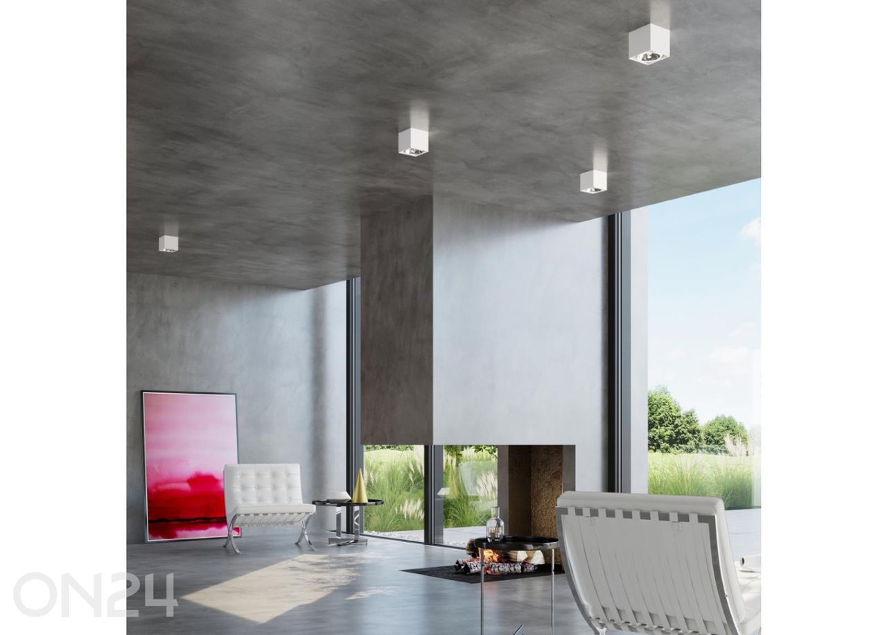 Kattovalaisin Blake kuvasuurennos