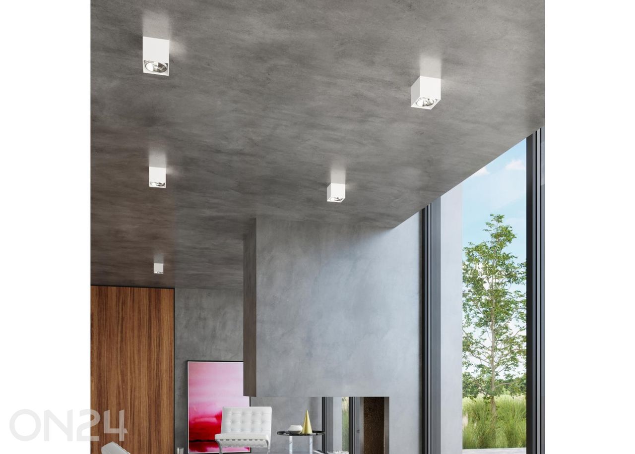 Kattovalaisin Blake kuvasuurennos