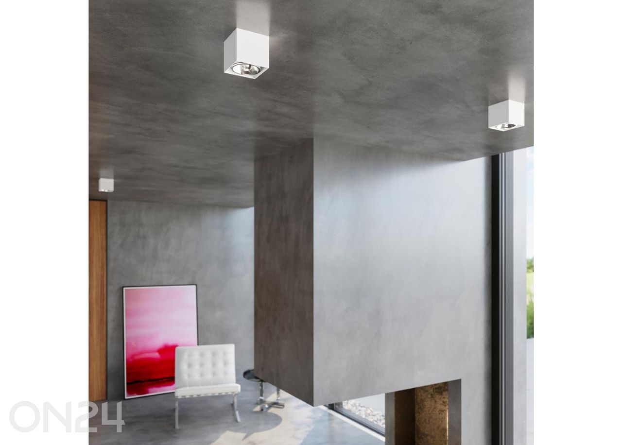 Kattovalaisin Blake kuvasuurennos