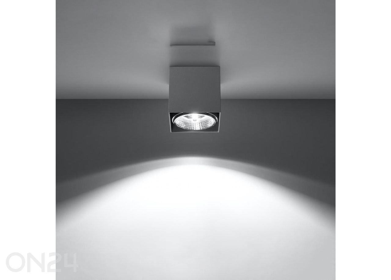 Kattovalaisin Blake kuvasuurennos