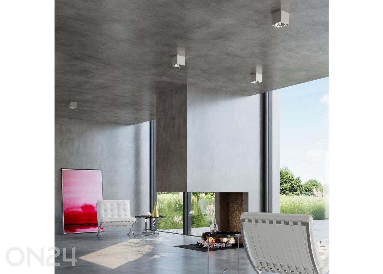 Kattovalaisin Blake kuvasuurennos