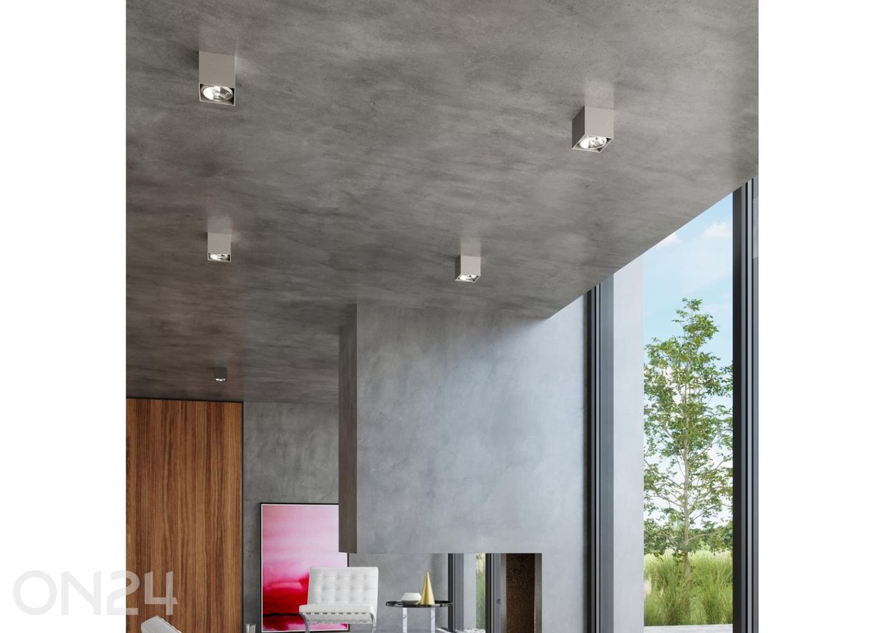 Kattovalaisin Blake kuvasuurennos