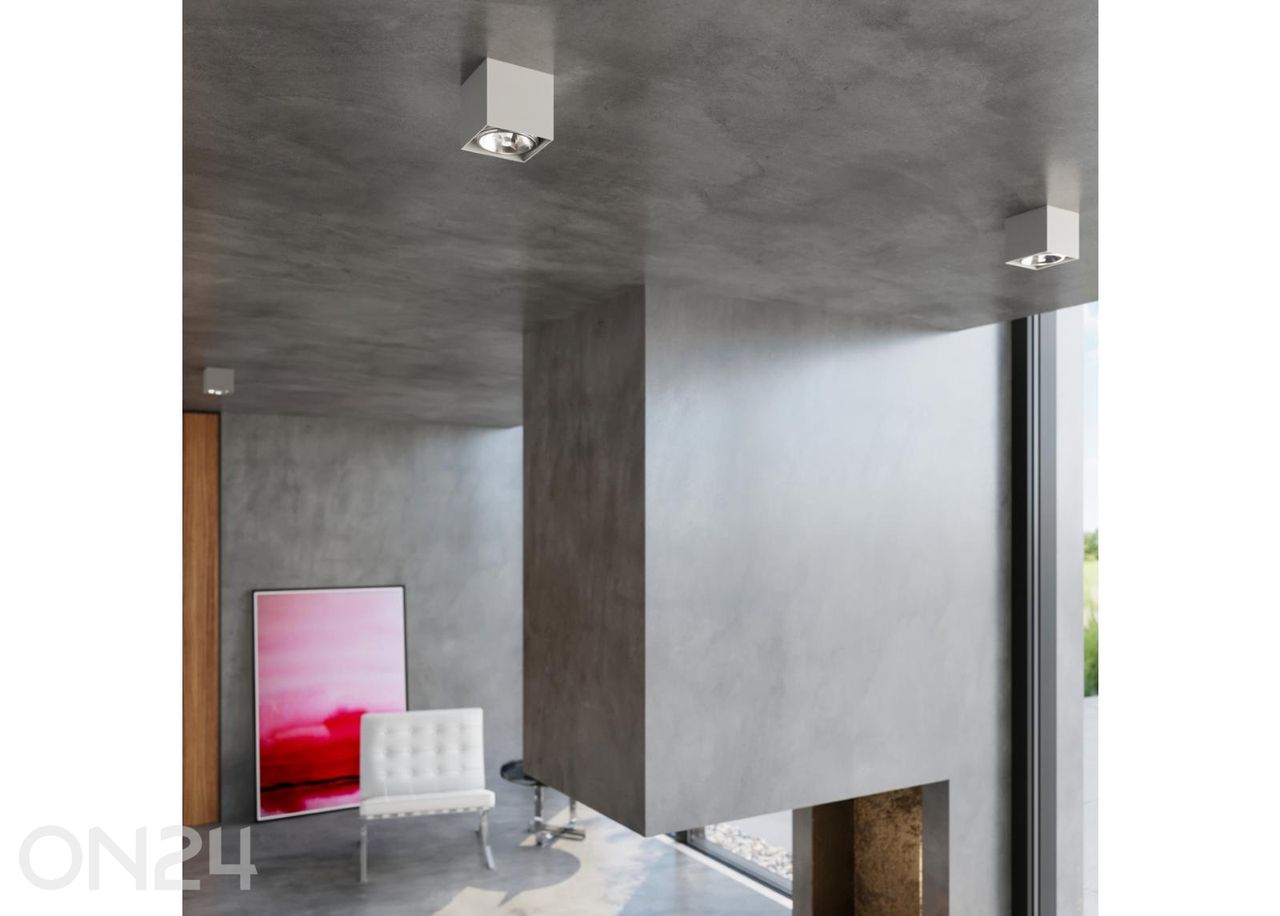 Kattovalaisin Blake kuvasuurennos