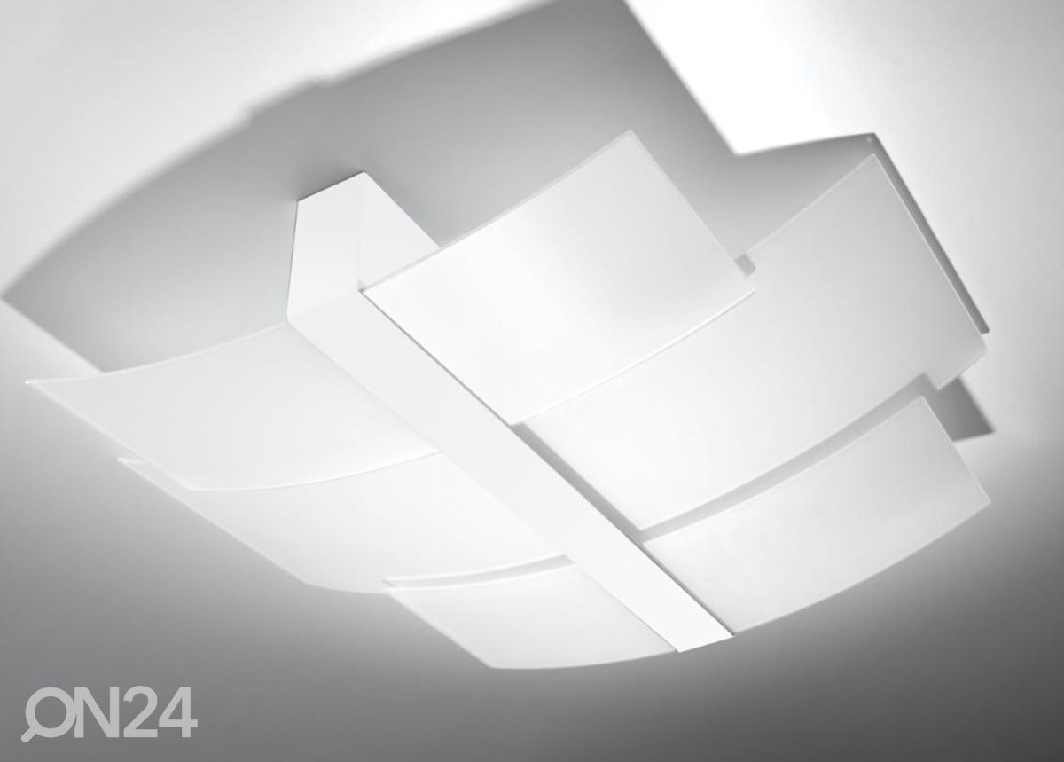 Kattovalaisin Celia, valkoinen kuvasuurennos