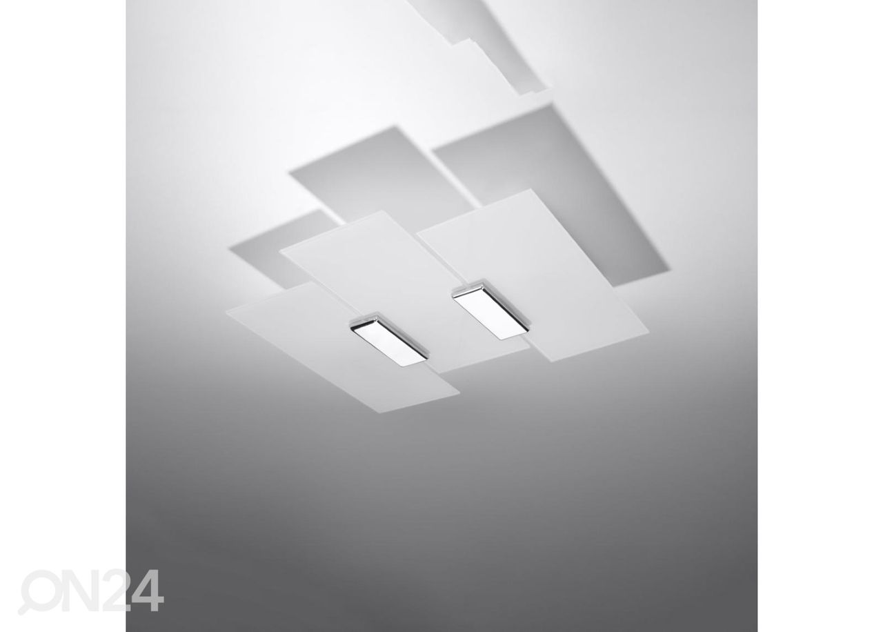 Kattovalaisin Fabiano kuvasuurennos