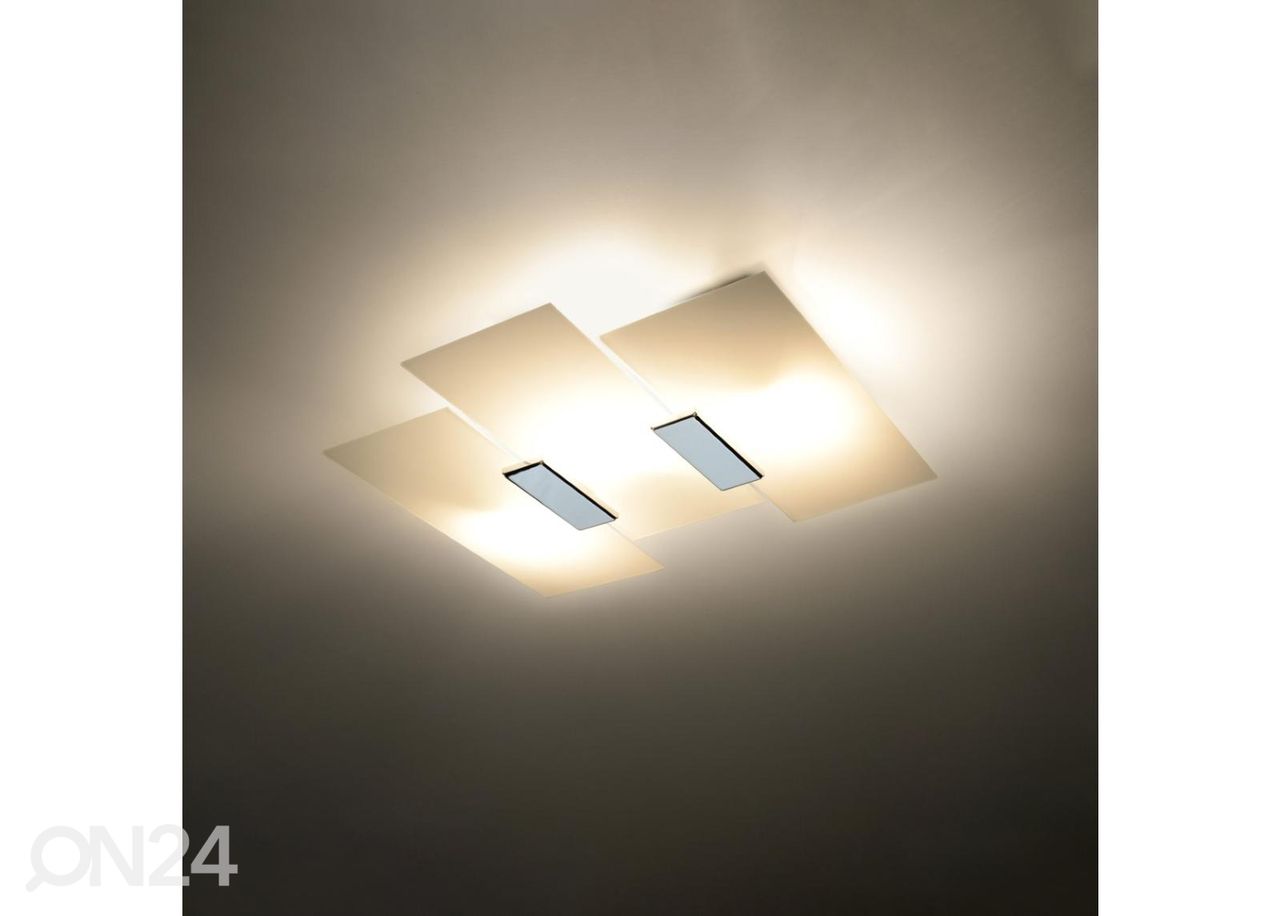 Kattovalaisin Fabiano kuvasuurennos