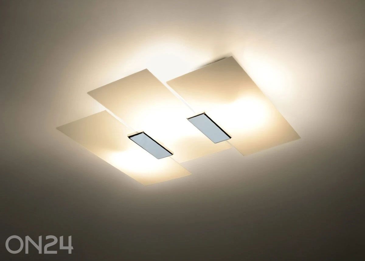 Kattovalaisin Fabiano kuvasuurennos