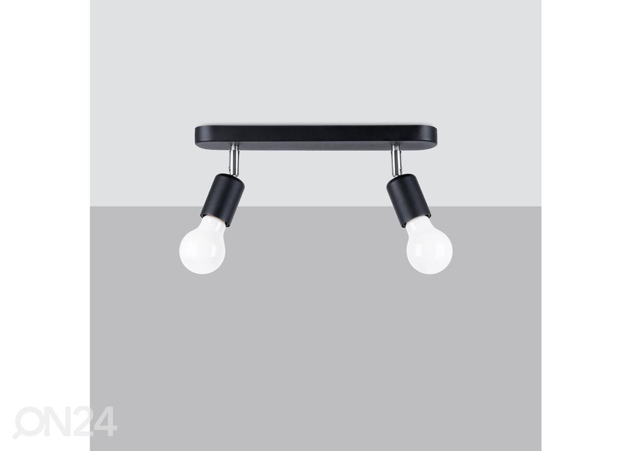 Kattovalaisin Fornes 2, musta kuvasuurennos