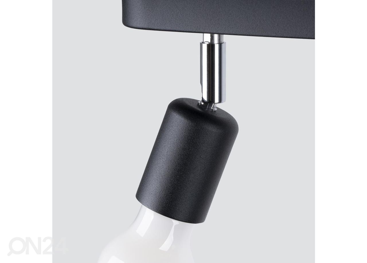 Kattovalaisin Fornes 2, musta kuvasuurennos