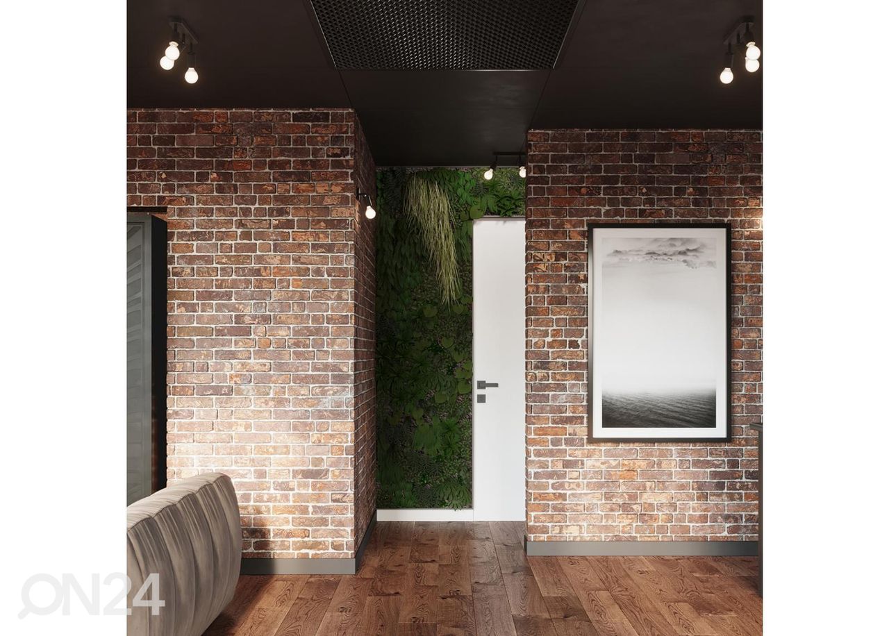 Kattovalaisin Fornes 2, musta kuvasuurennos