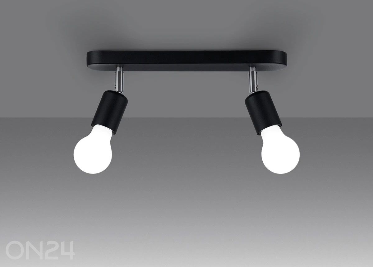 Kattovalaisin Fornes 2, musta kuvasuurennos