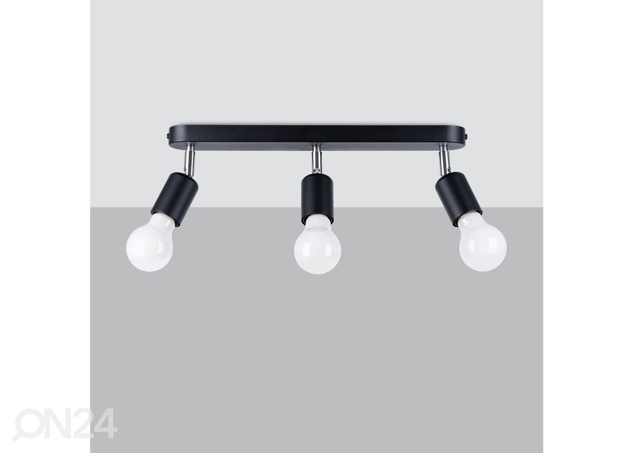 Kattovalaisin Fornes 3, musta kuvasuurennos