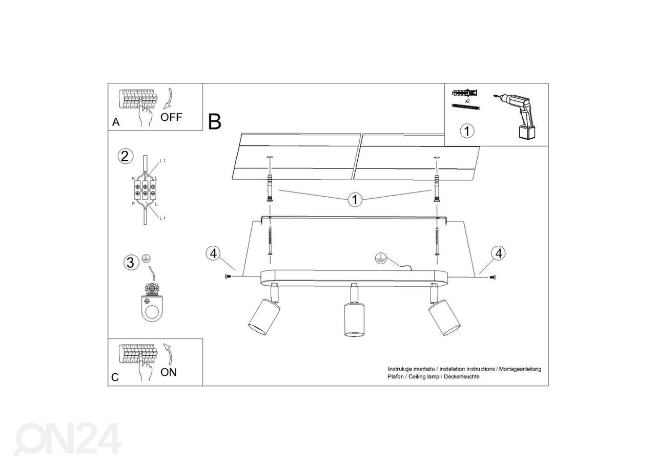 Kattovalaisin Fornes 3, musta kuvasuurennos