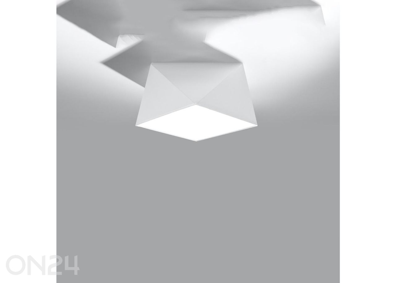 Kattovalaisin Hexa 25 kuvasuurennos