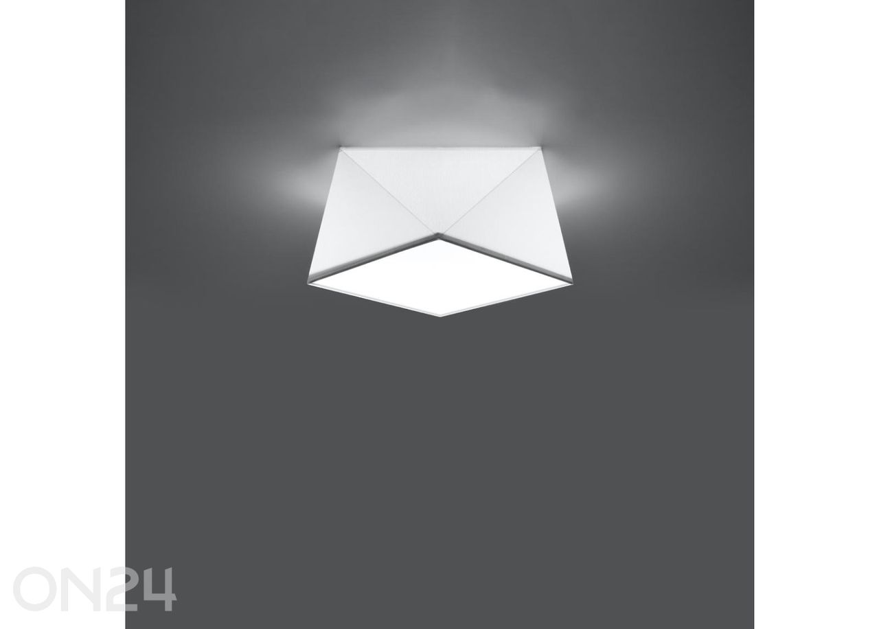 Kattovalaisin Hexa 25 kuvasuurennos