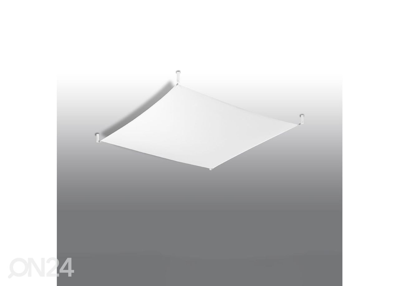 Kattovalaisin Luna 2, valkoinen kuvasuurennos