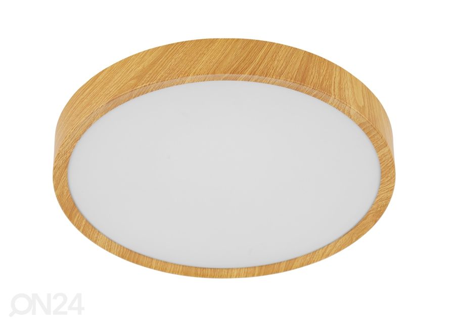 Kattovalaisin Musurita Ø 44 cm kuvasuurennos