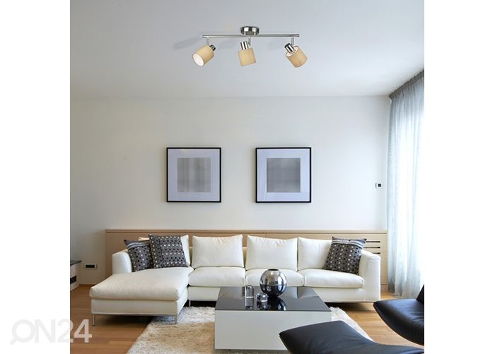 Kattovalaisin Natina kuvasuurennos