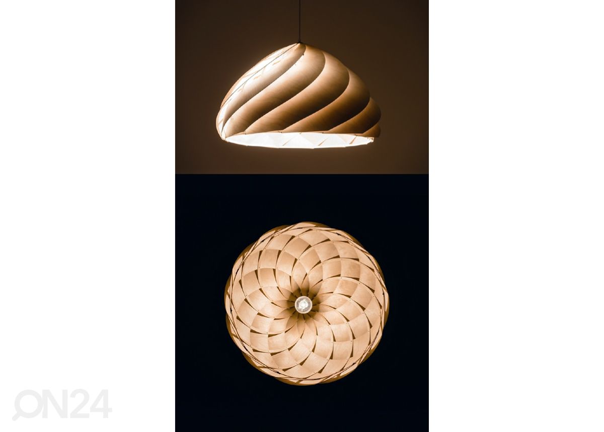 Kattovalaisin Nautilus kuvasuurennos